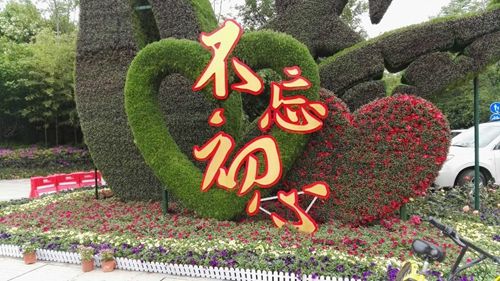 漯河(hé)紮景現場(chǎng)圖 (1).jpg